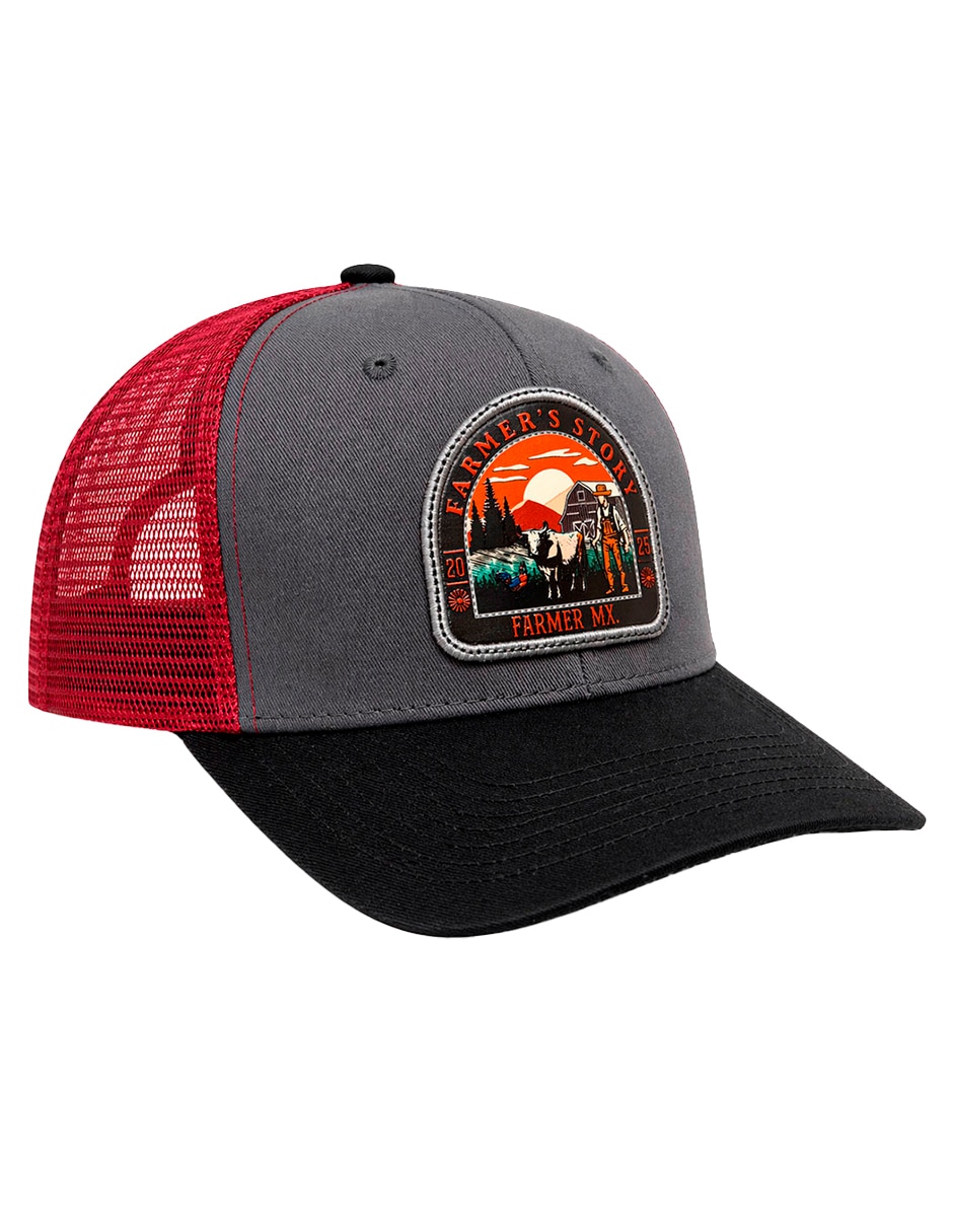 Gorra visera curva snapback para hombre 1