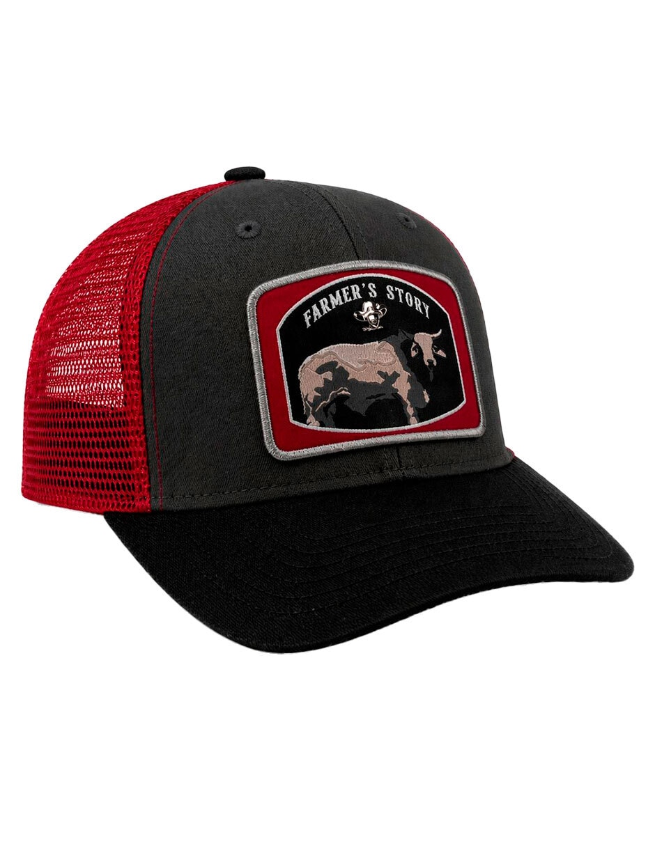 Gorra visera curva snapback para hombre Gorra visera curva snapback para hombre