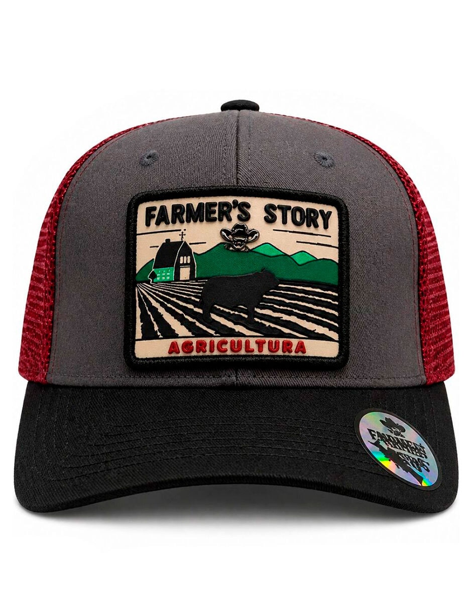 Gorra visera curva snapback para hombre 6