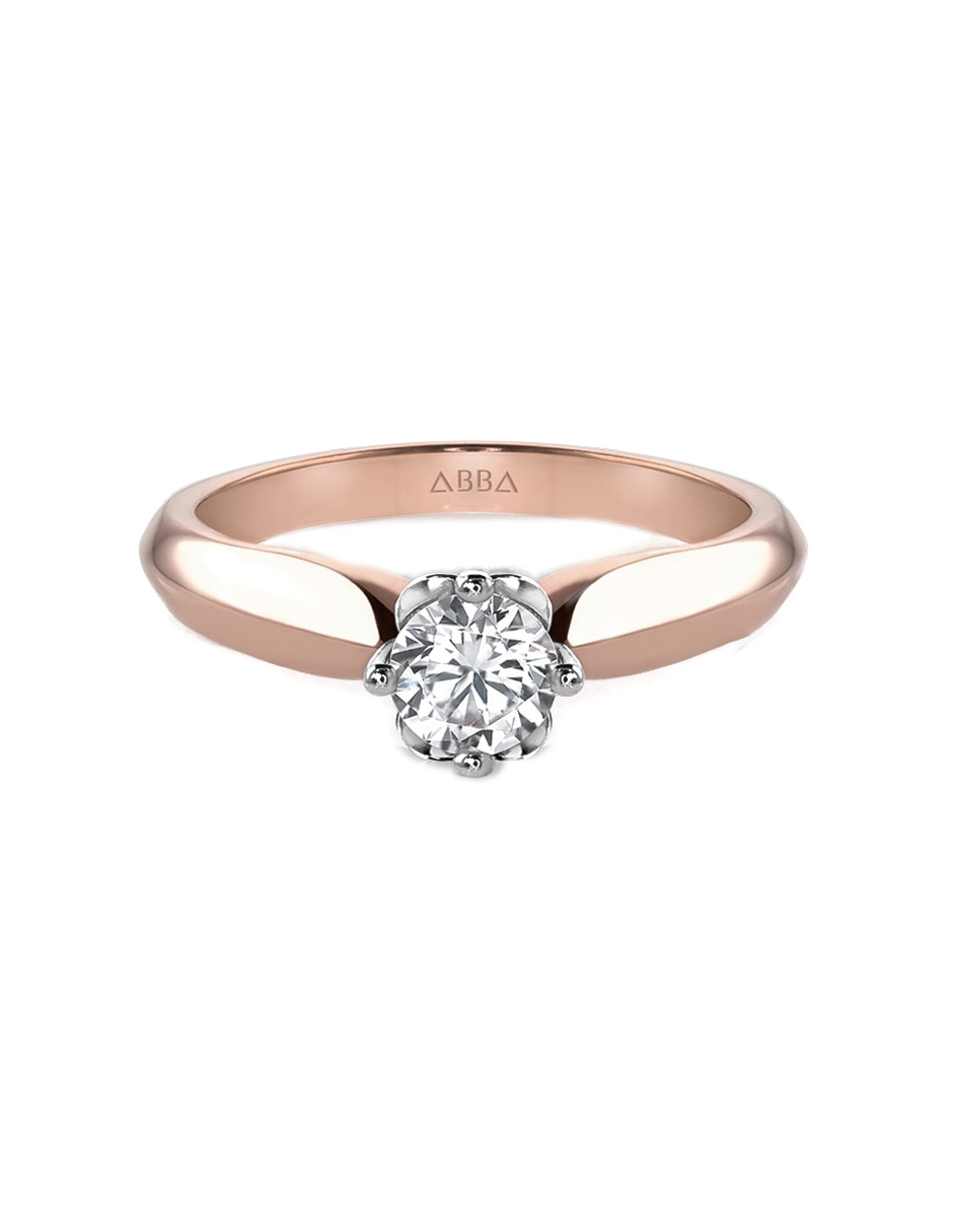 Rosa 2
