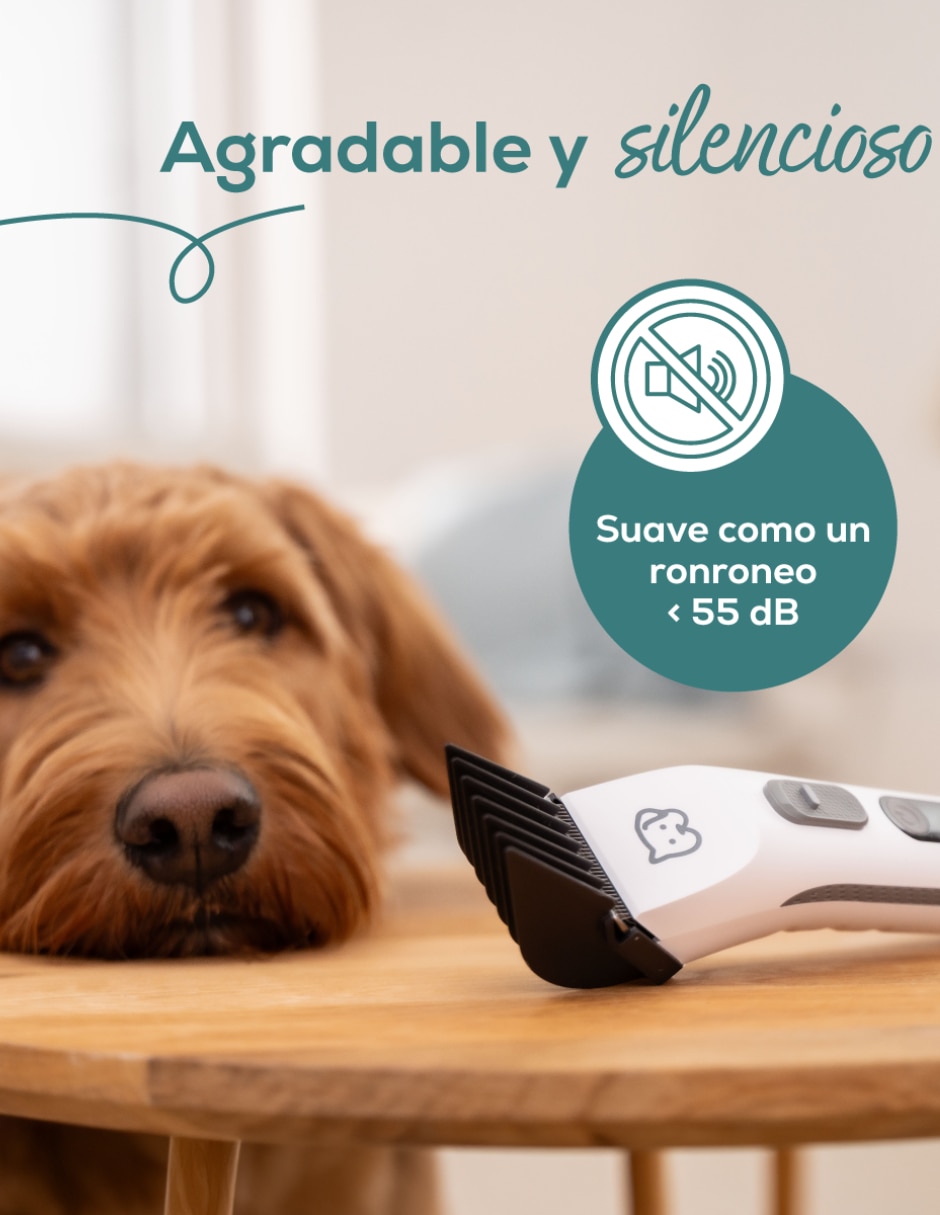 Kit rasuradora para mascota Beurer