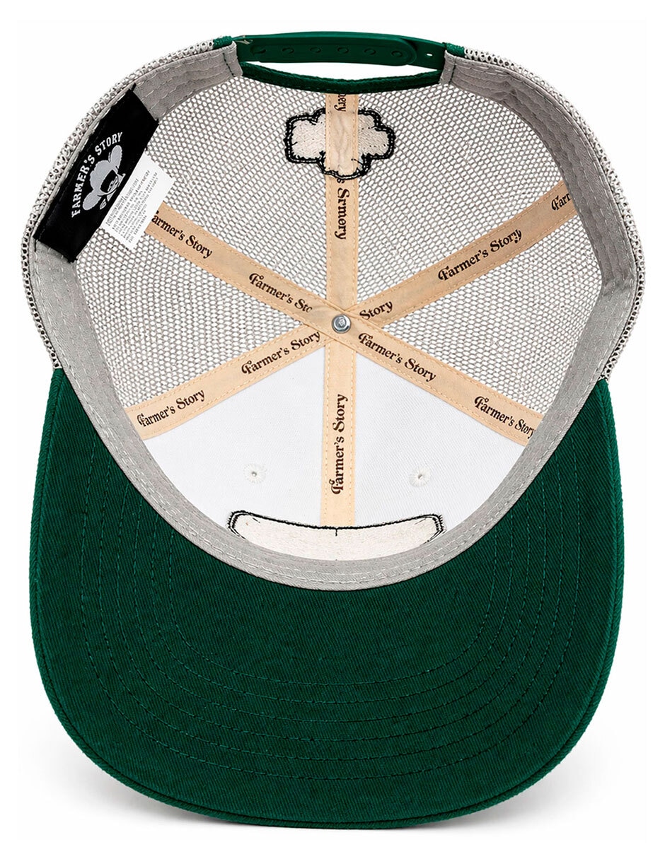 Gorra visera curva snapback para hombre 5