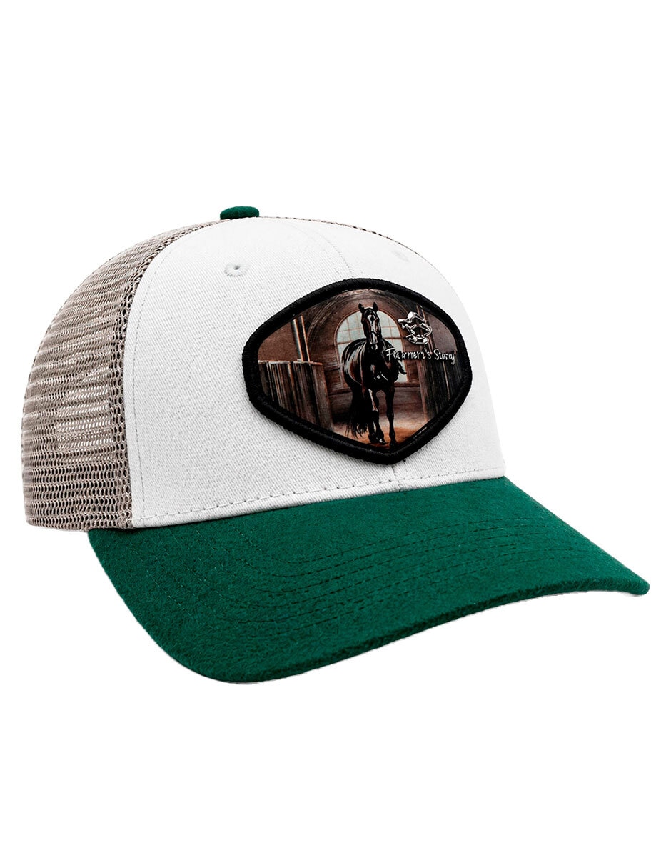 Gorra visera curva snapback para hombre 1