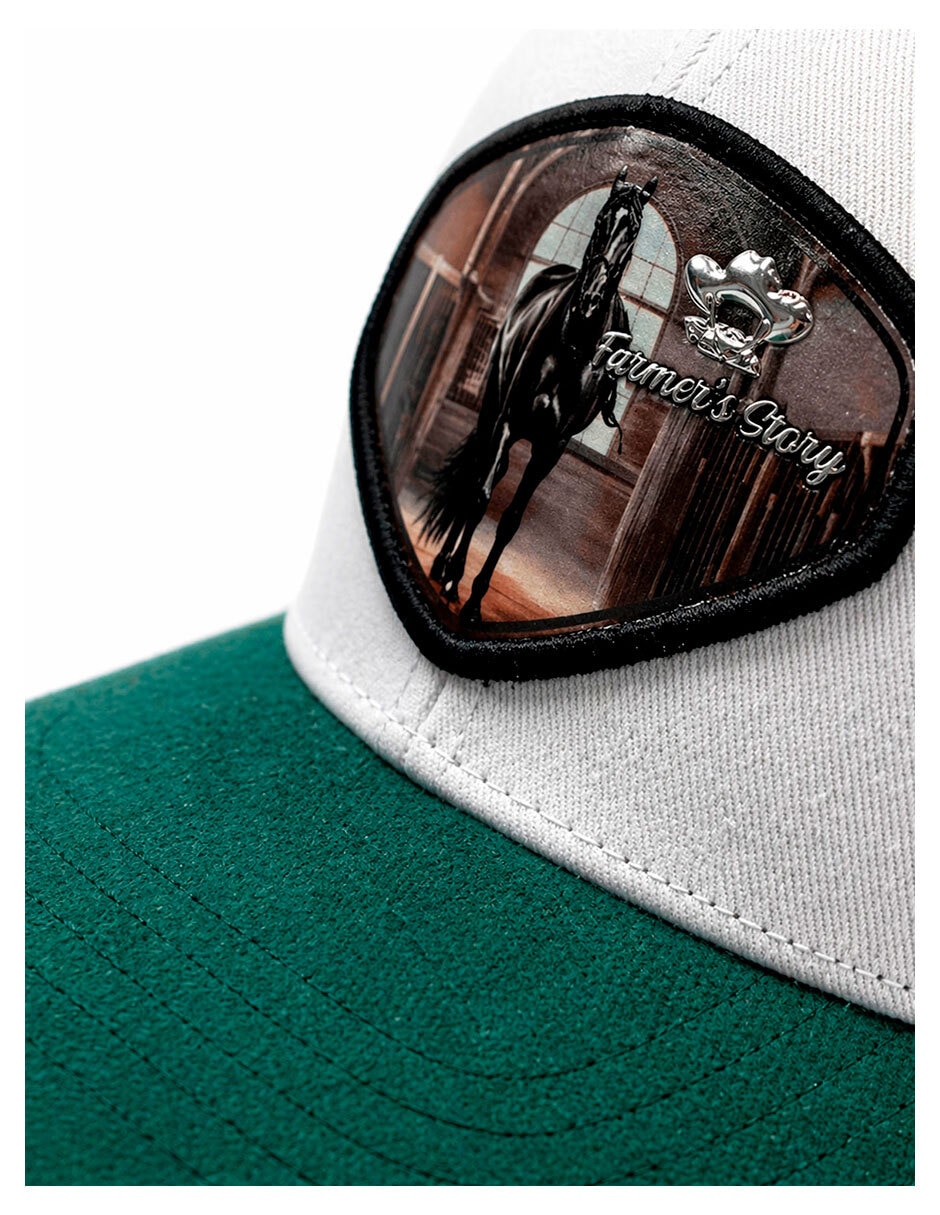 Gorra visera curva snapback para casual para hombre 4
