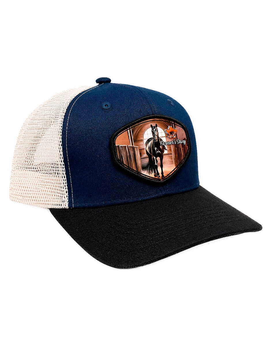 Gorra visera curva snapback para hombre