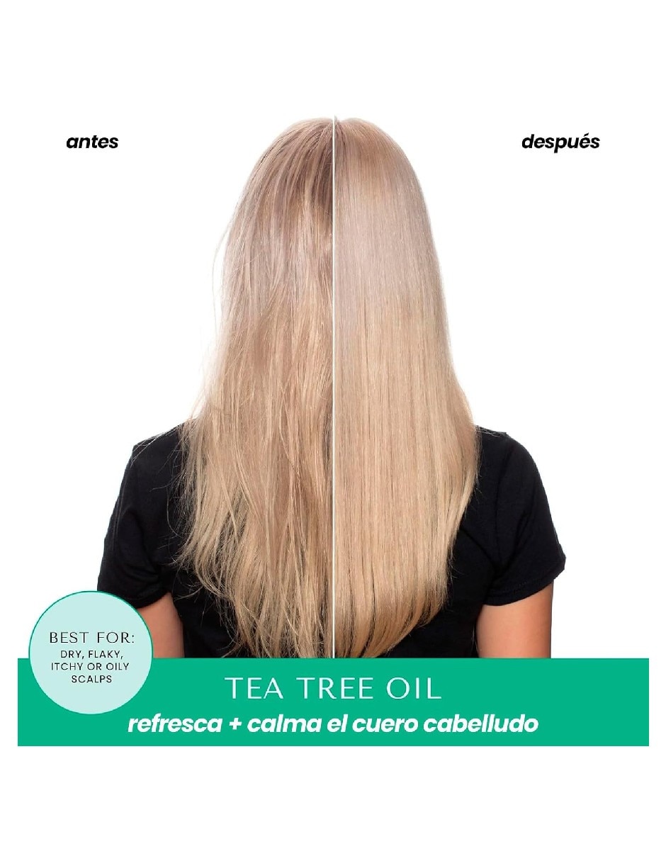 Shampoo en seco para cabello todo tipo shampoo en seco anticaspa 122 g genérica