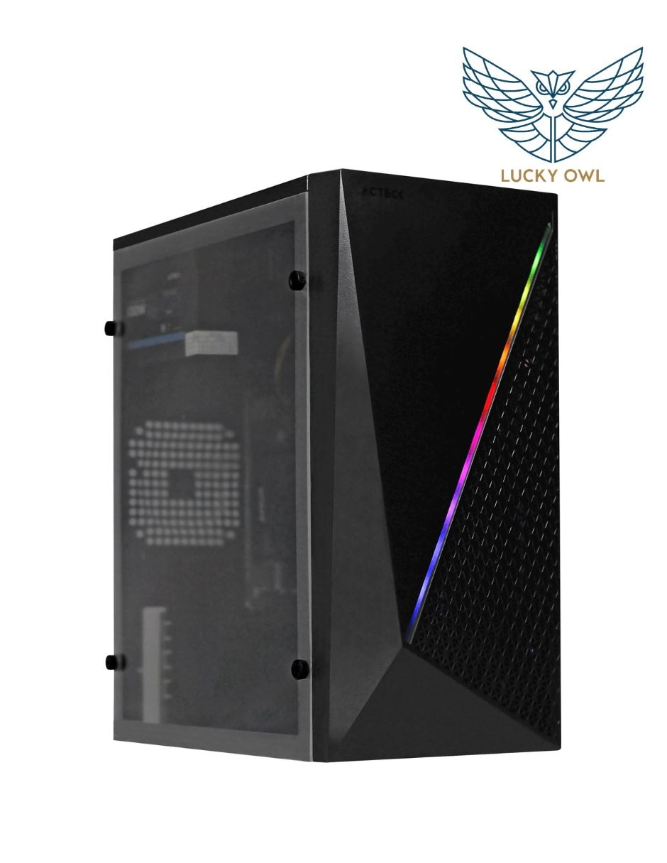 Computadora de escritorio Lucky OWL PC-030 AMD Ryzen 5 16 GB RAM 500 GB SSD