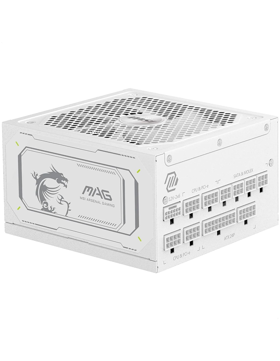 Fuente de poder Mag A1000Gl Pcie5