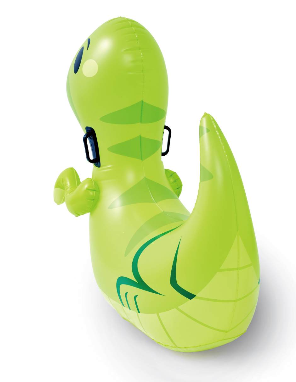 Inflable 6