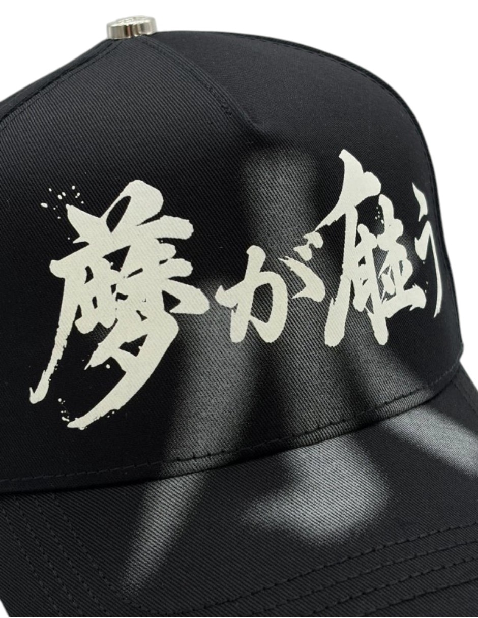 Gorra visera curva snapback dreamer hats koi black para hombre