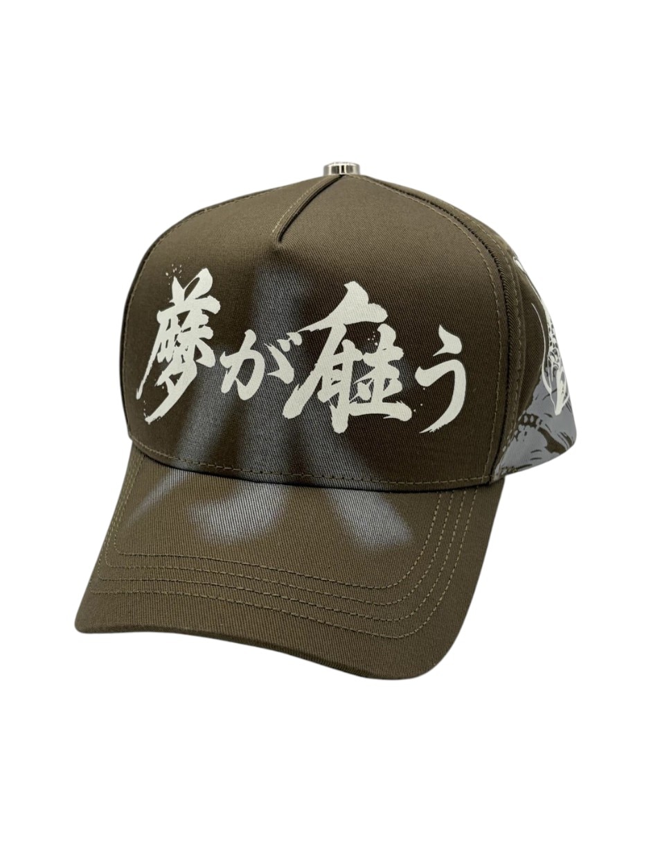 Gorra visera curva snapback dreamer hats koi green para hombre