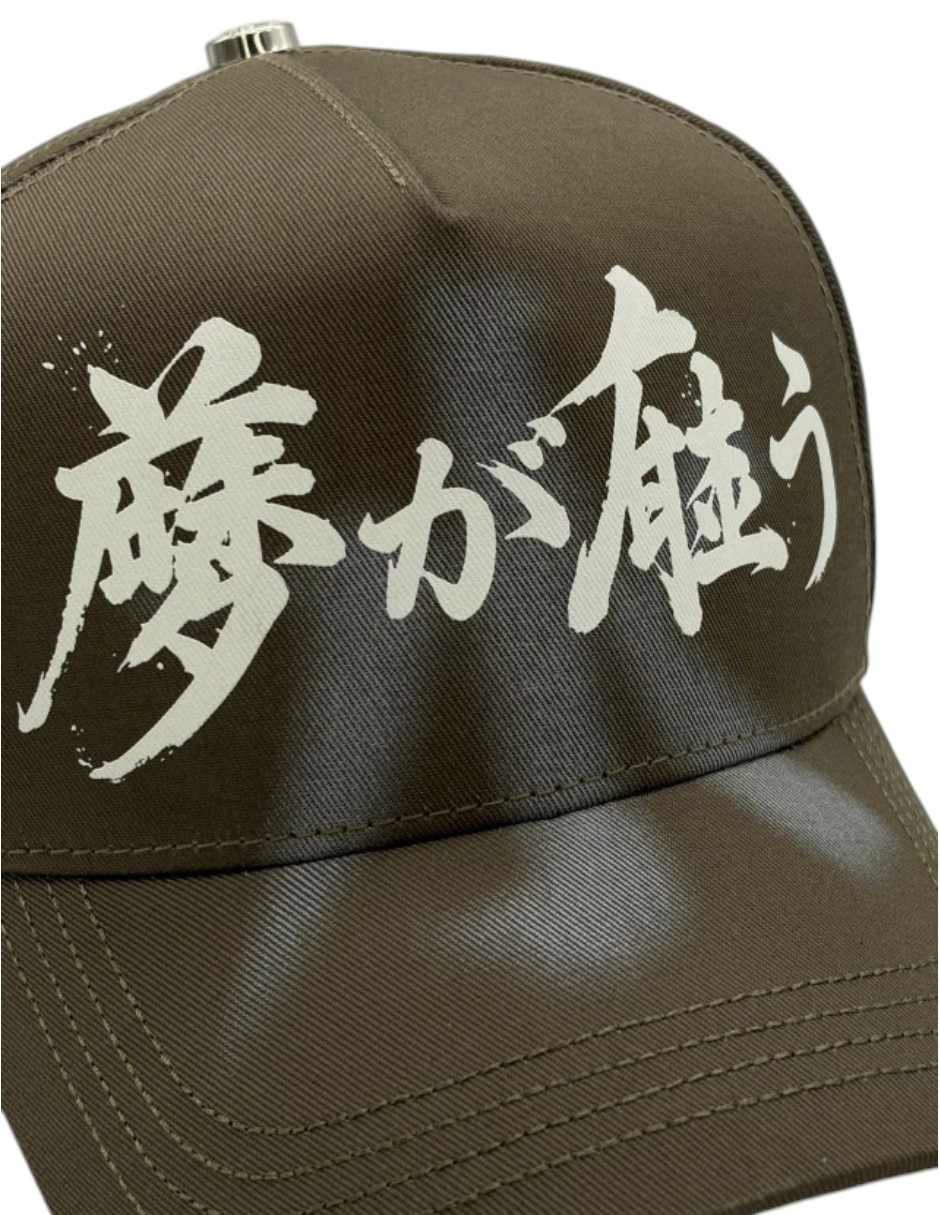 Gorra visera curva snapback dreamer hats koi green para hombre