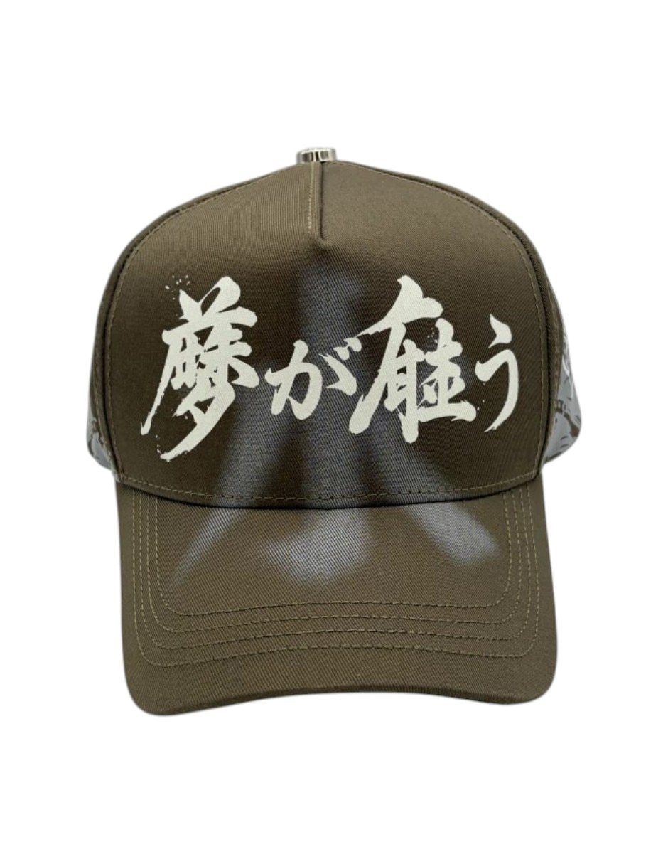 Gorra visera curva snapback dreamer hats koi green para hombre