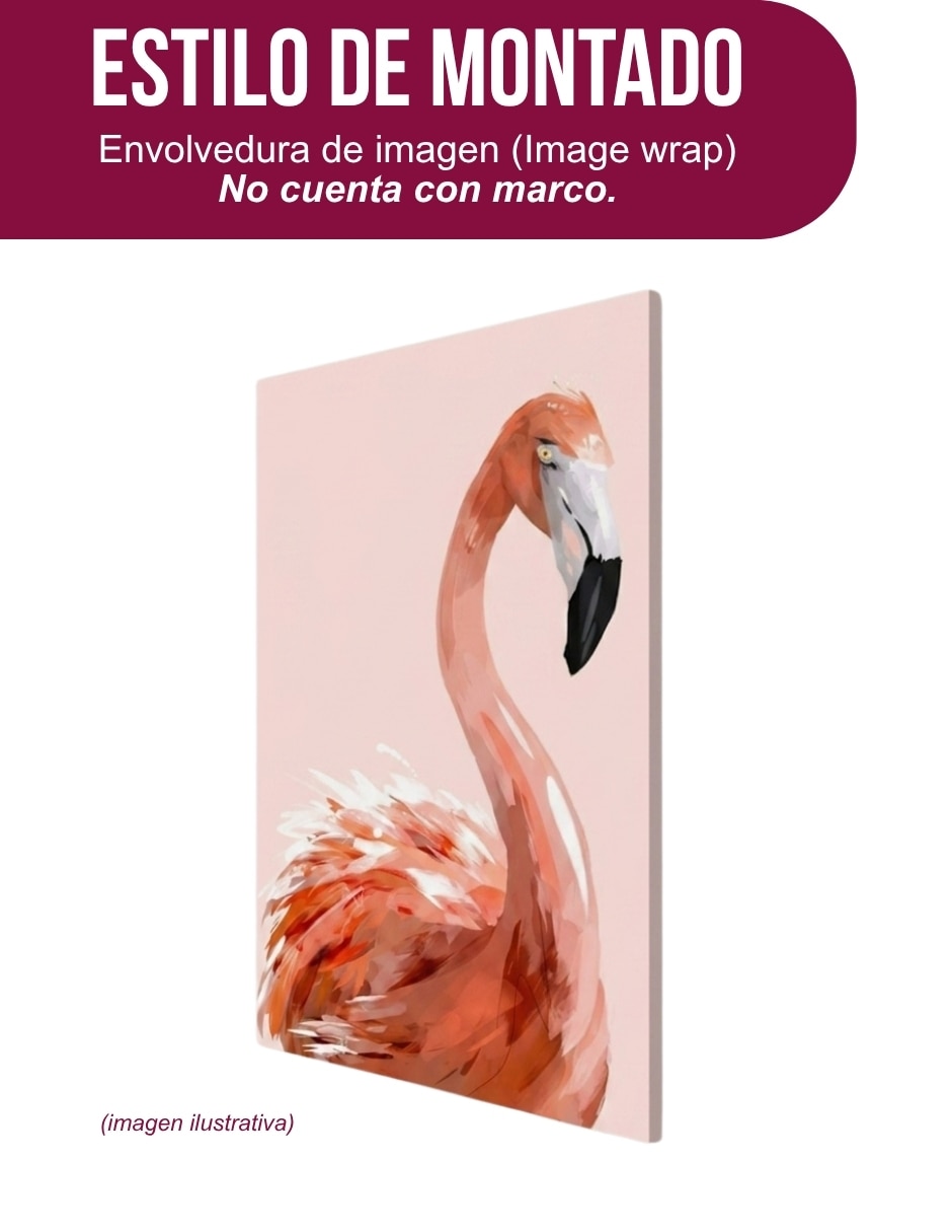 Cuadro decorativo Genérica Impresion flamingo