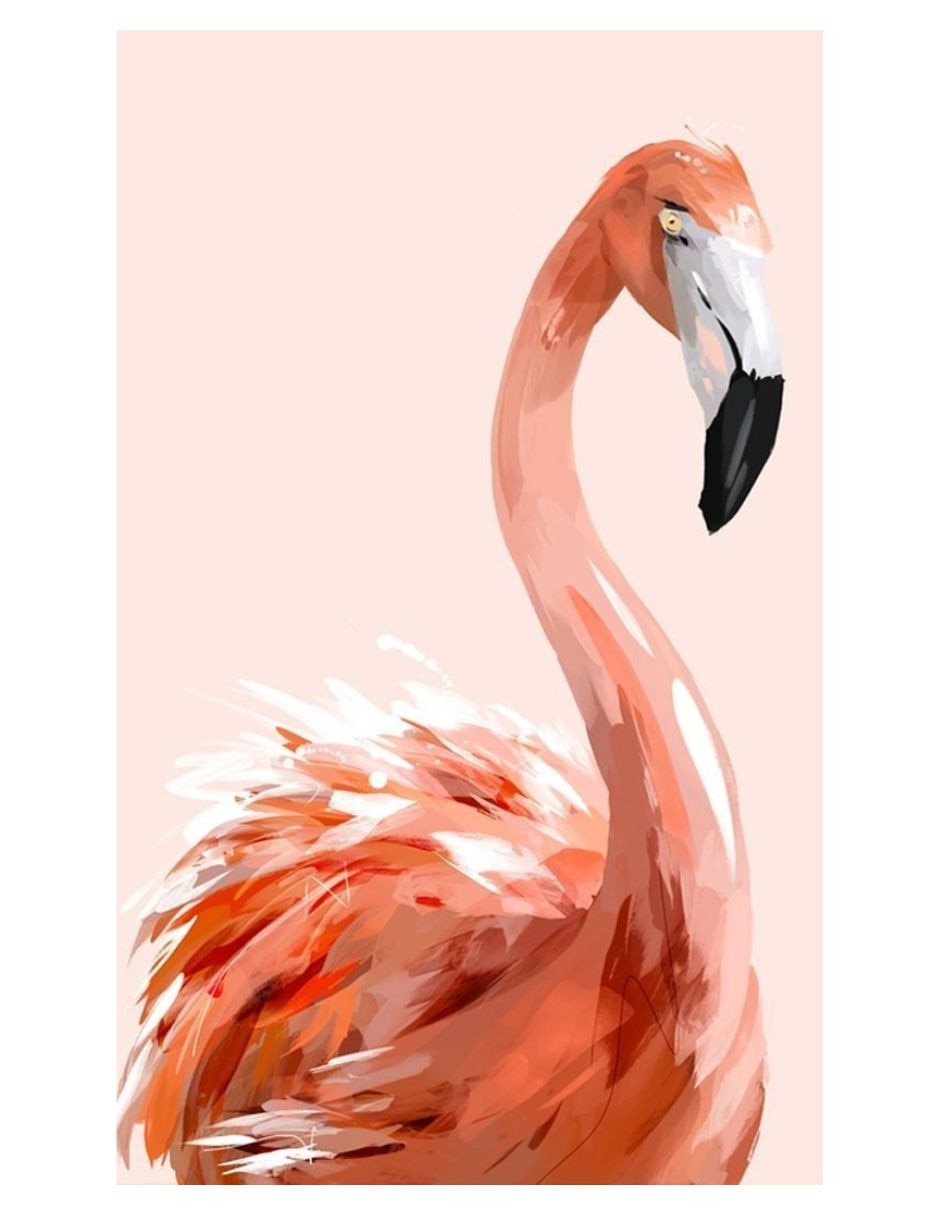 Cuadro decorativo Genérica Impresion flamingo