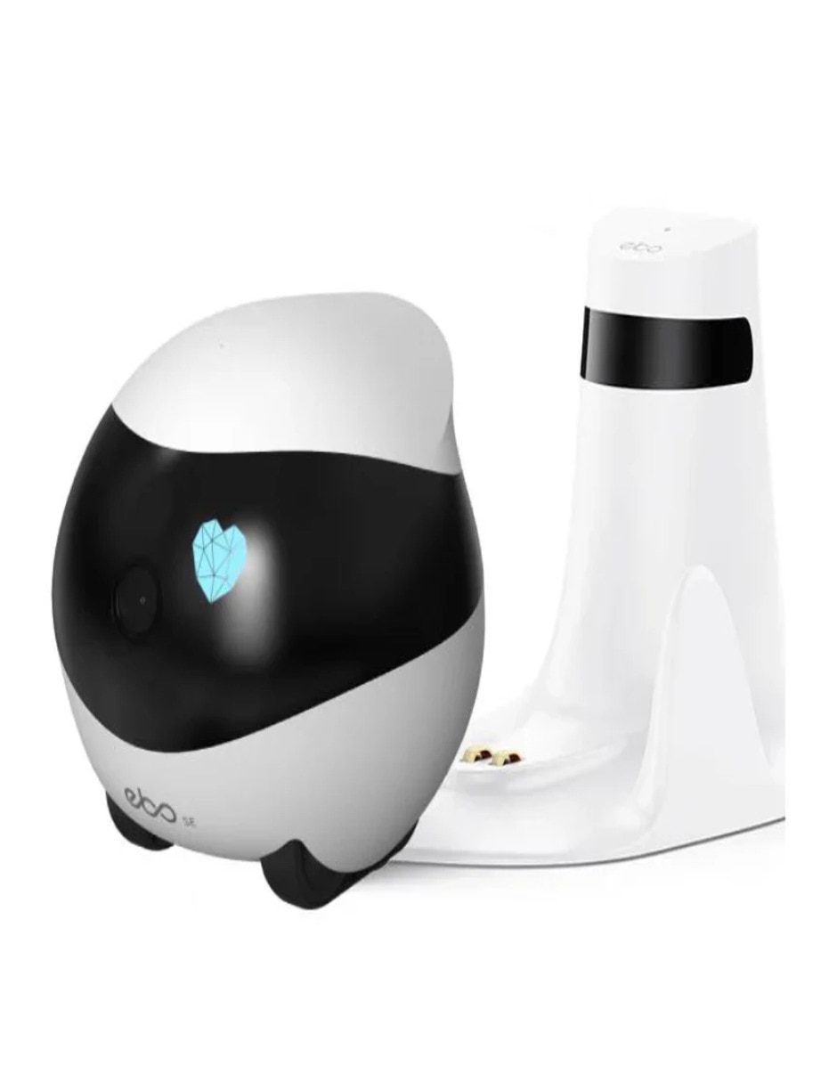 Robot Enabot