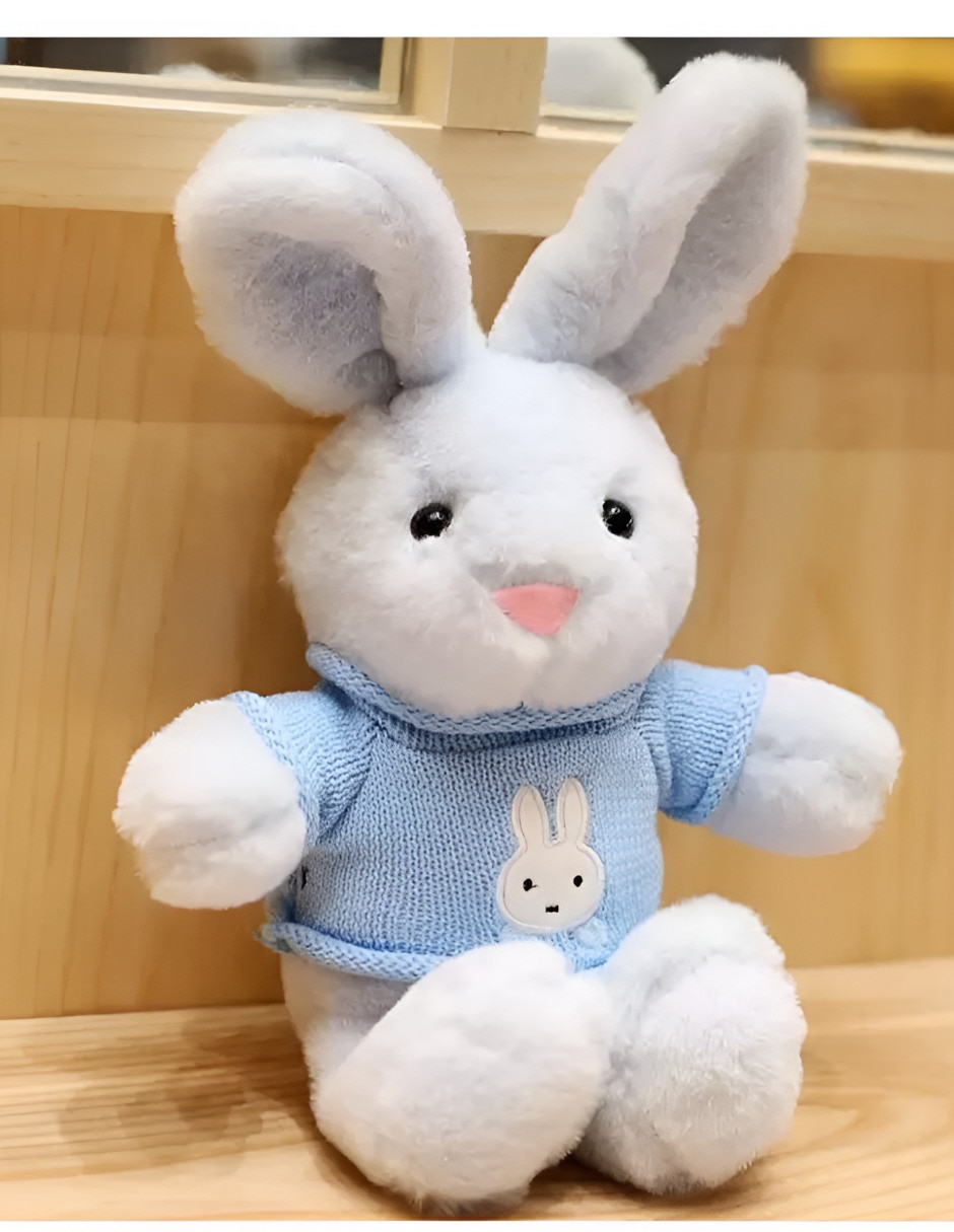 Set peluche de conejo 2