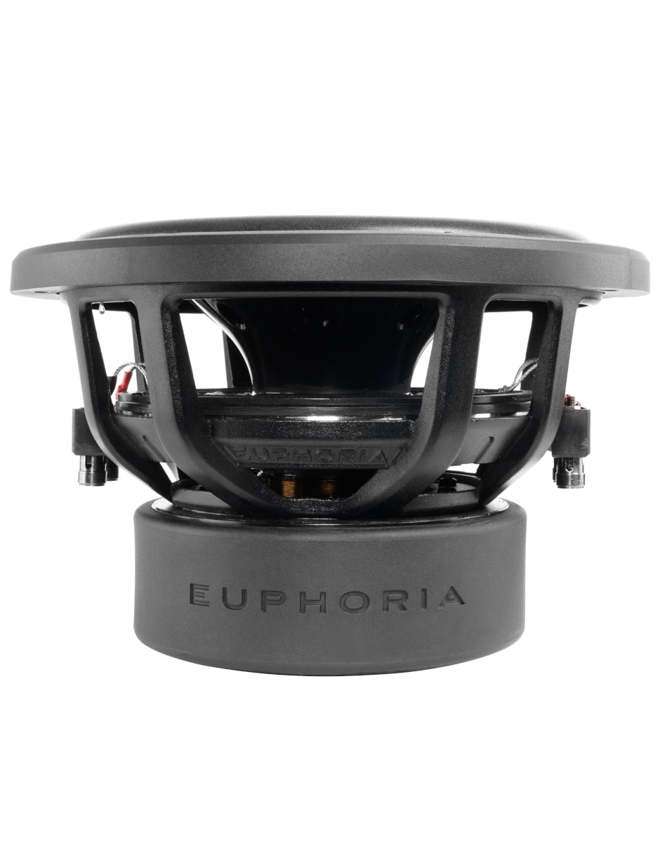 Subwoofer ERW10d4 2