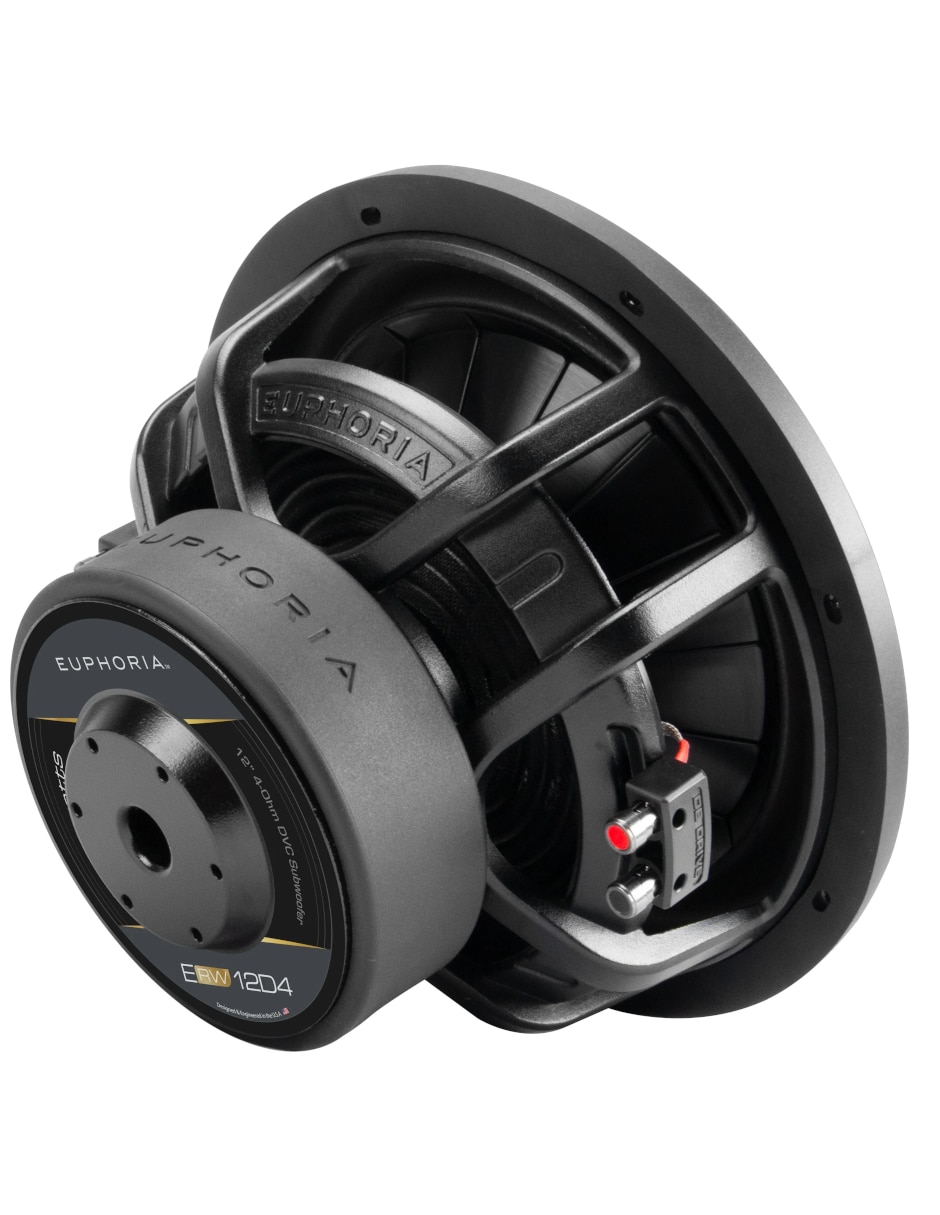 Subwoofer ERW12D4 2