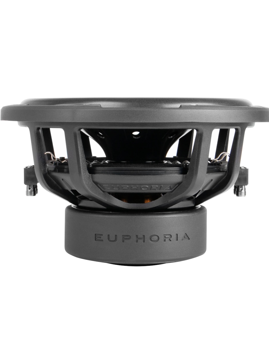 Subwoofer ERW12D4 5
