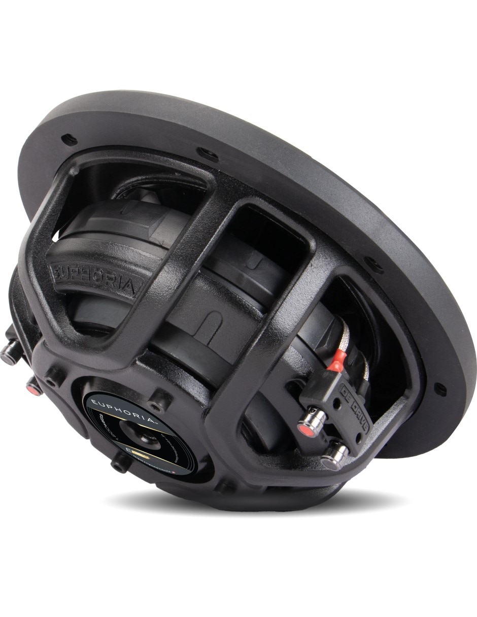 Subwoofer ERFW12D4 2