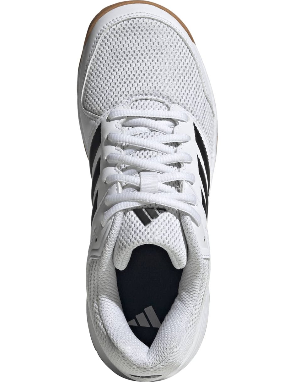 Tenis Adidas Speedcourt k unisex para Voleibol
