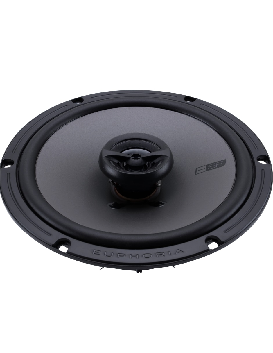 Set de bocinas ESF65 3