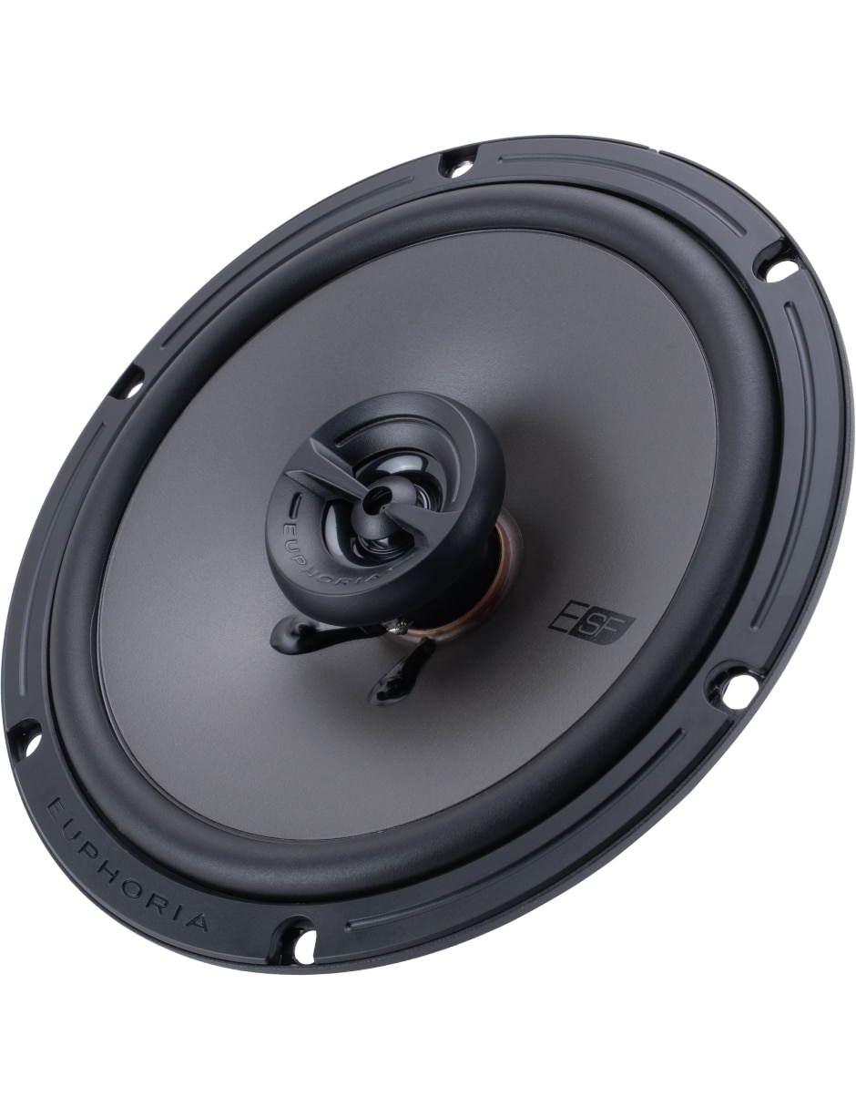 Set de bocinas ESF65 5