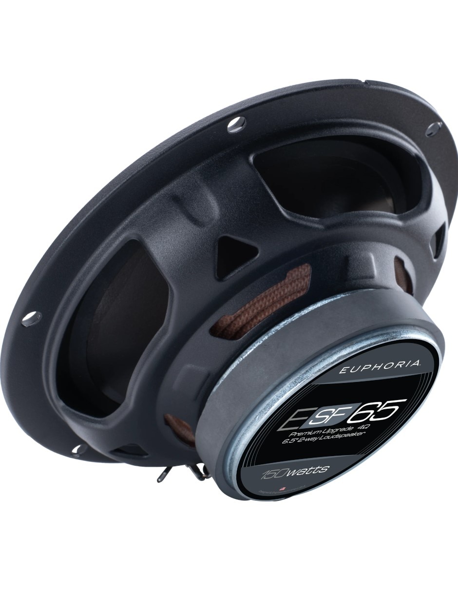 Set de bocinas ESF65 10