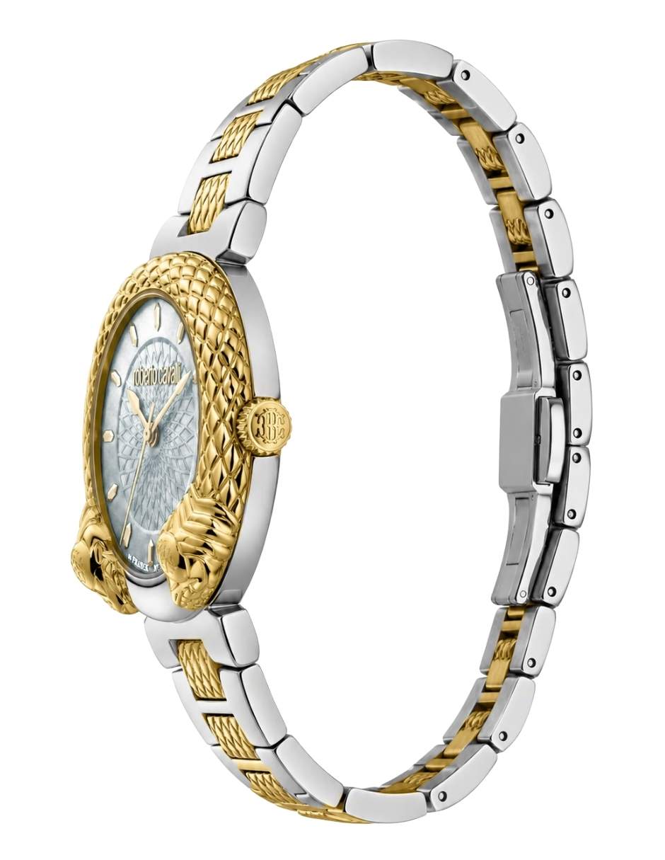 Reloj Roberto Cavalli Franck Muller para mujer RV1L190M0061