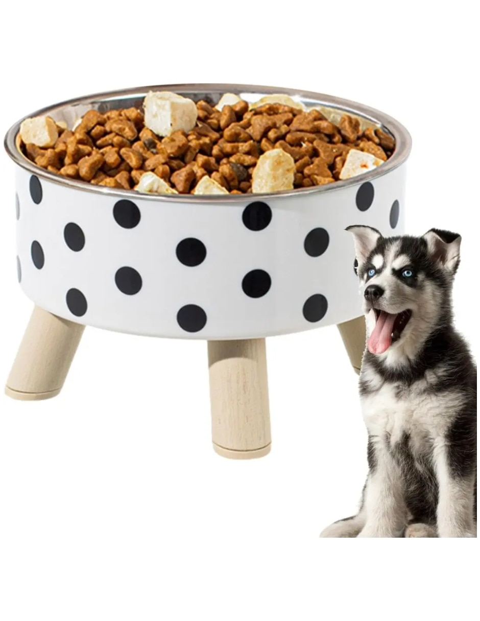 Plato para perro y gato 2