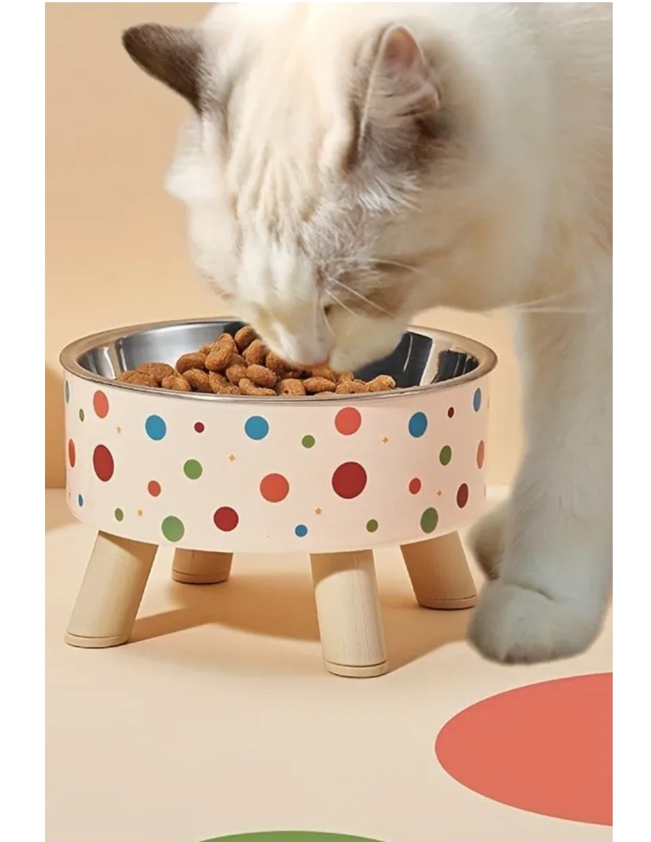 Plato para perro y gato 3