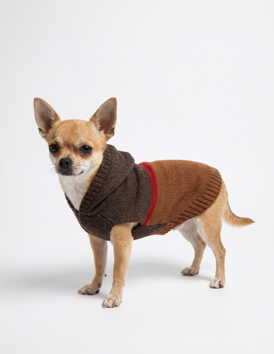 Suéter para perro 1