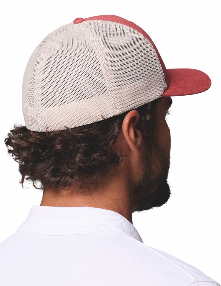 Gorra con visera curva casual Ss26 para adulto