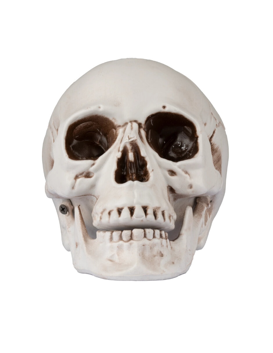 Figura decorativa de cráneo