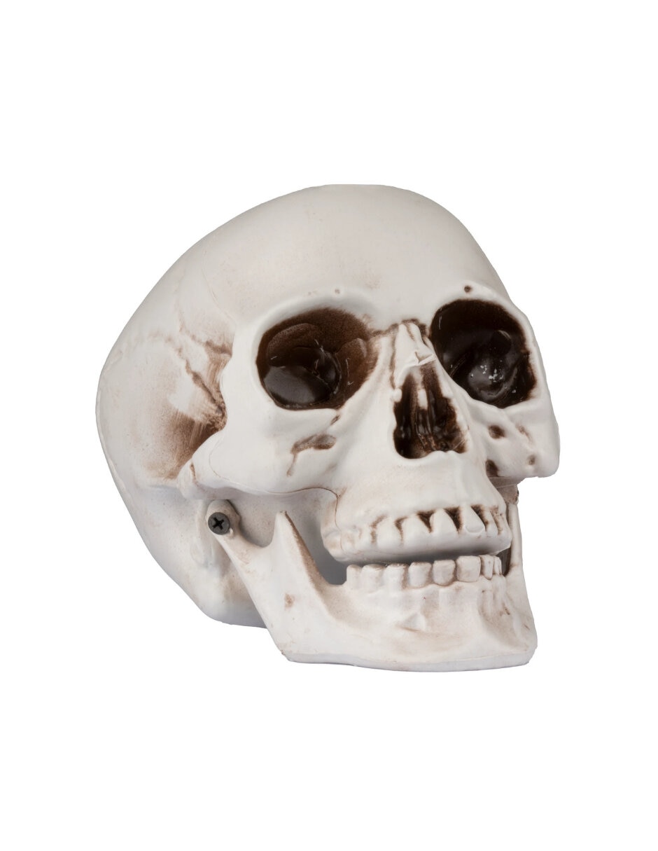Figura decorativa de cráneo Ghoulish Productions