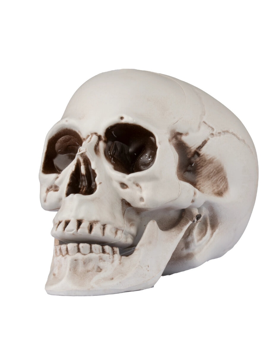 Figura decorativa de cráneo Ghoulish Productions