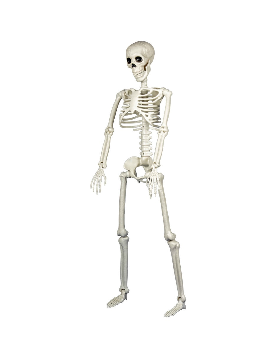 Figura decorativa de esqueleto calaveras Ghoulish Productions adorno de plástico