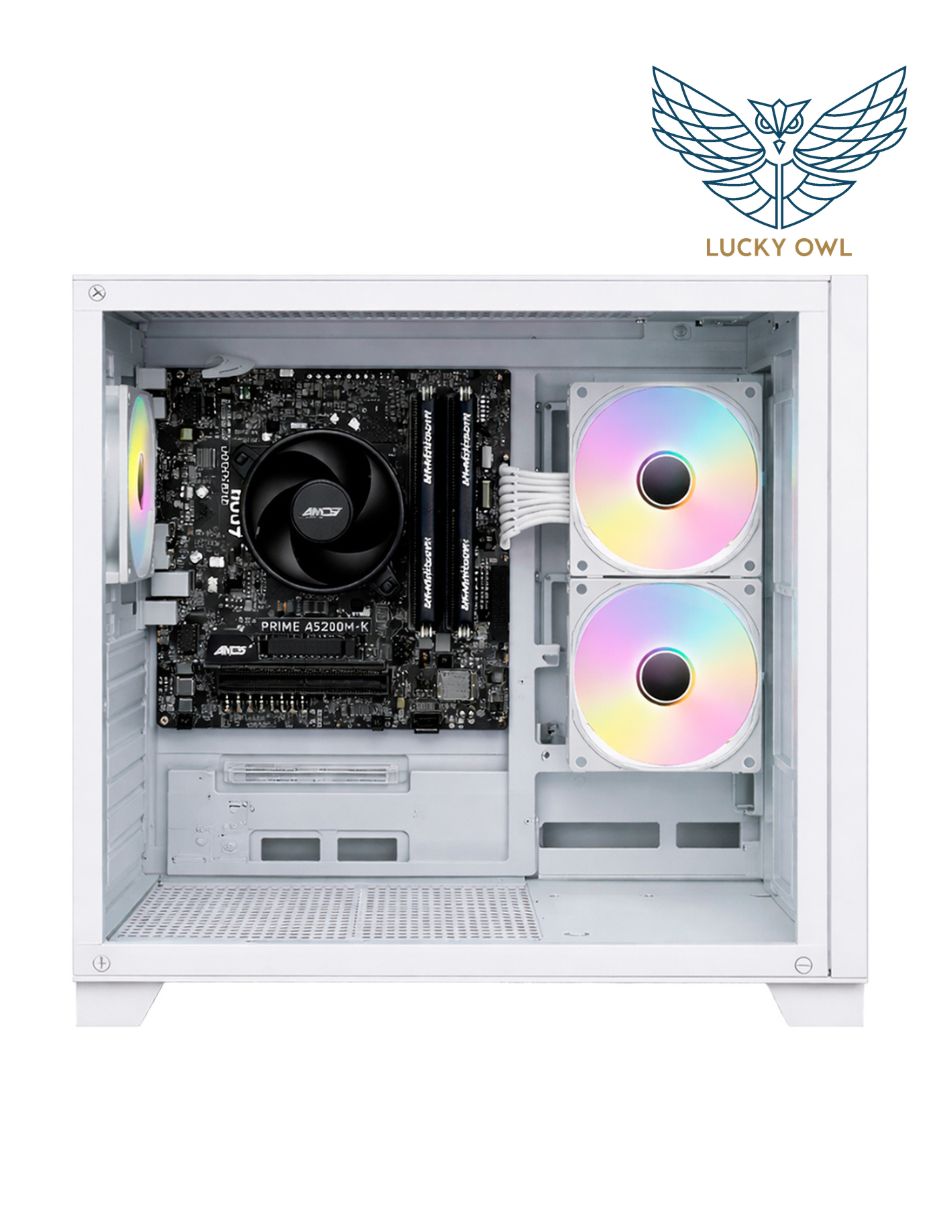 Computadora de escritorio Lucky Owl PC-0116-D 32 GB RAM 1 TB SSD