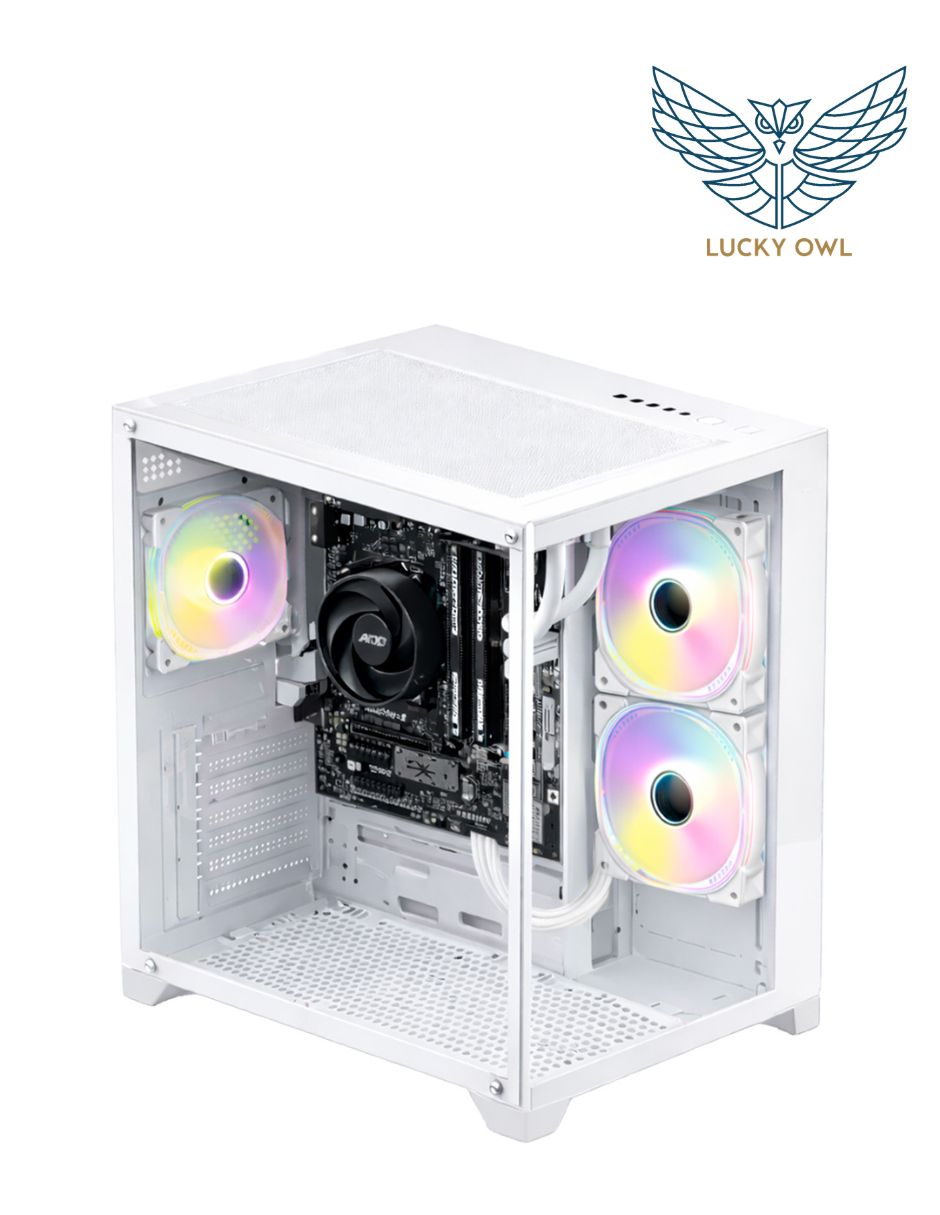 Computadora de escritorio Lucky Owl PC-0116-D 32 GB RAM 1 TB SSD