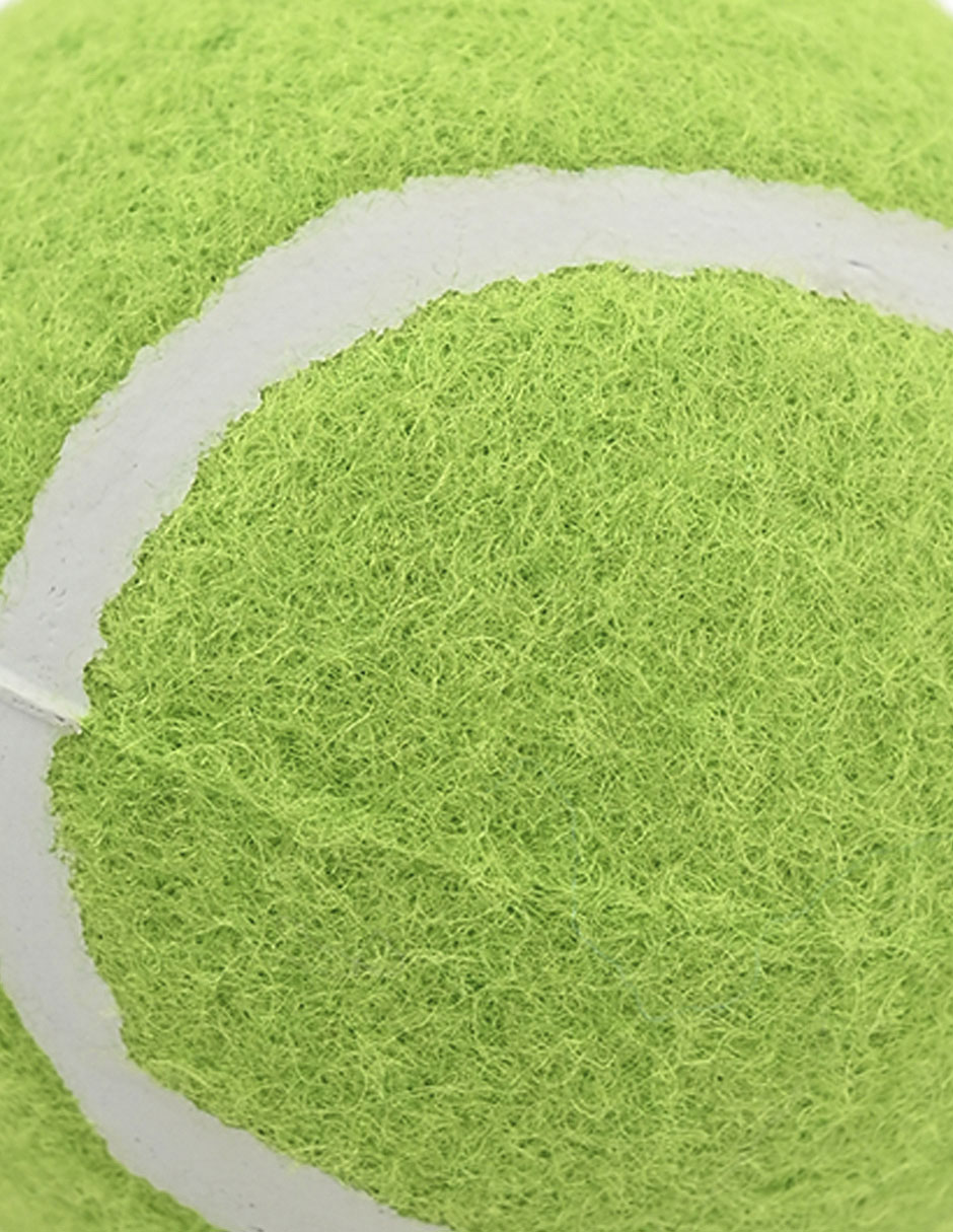 Pelota para perro zoopet 2