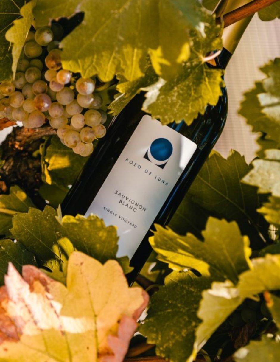 Vino blanco Sauvignon Blanc Wineroots México