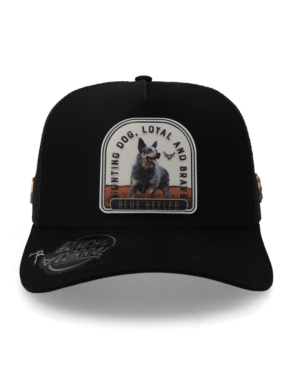 Gorra visera curva snapback Ranch And Corral Gorra Ranch & Corral Dog Breeds 32 adulto