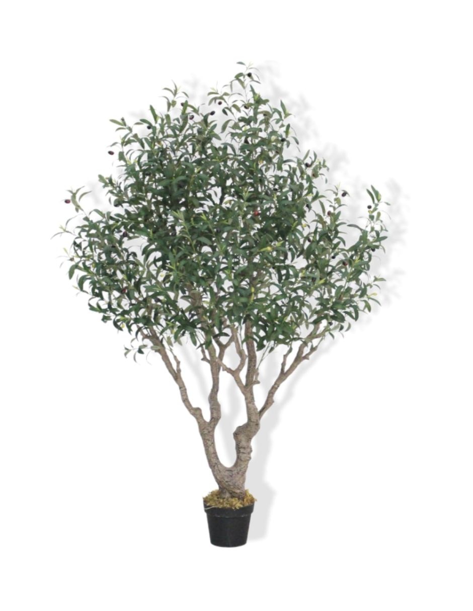 Olivo artificial Colección