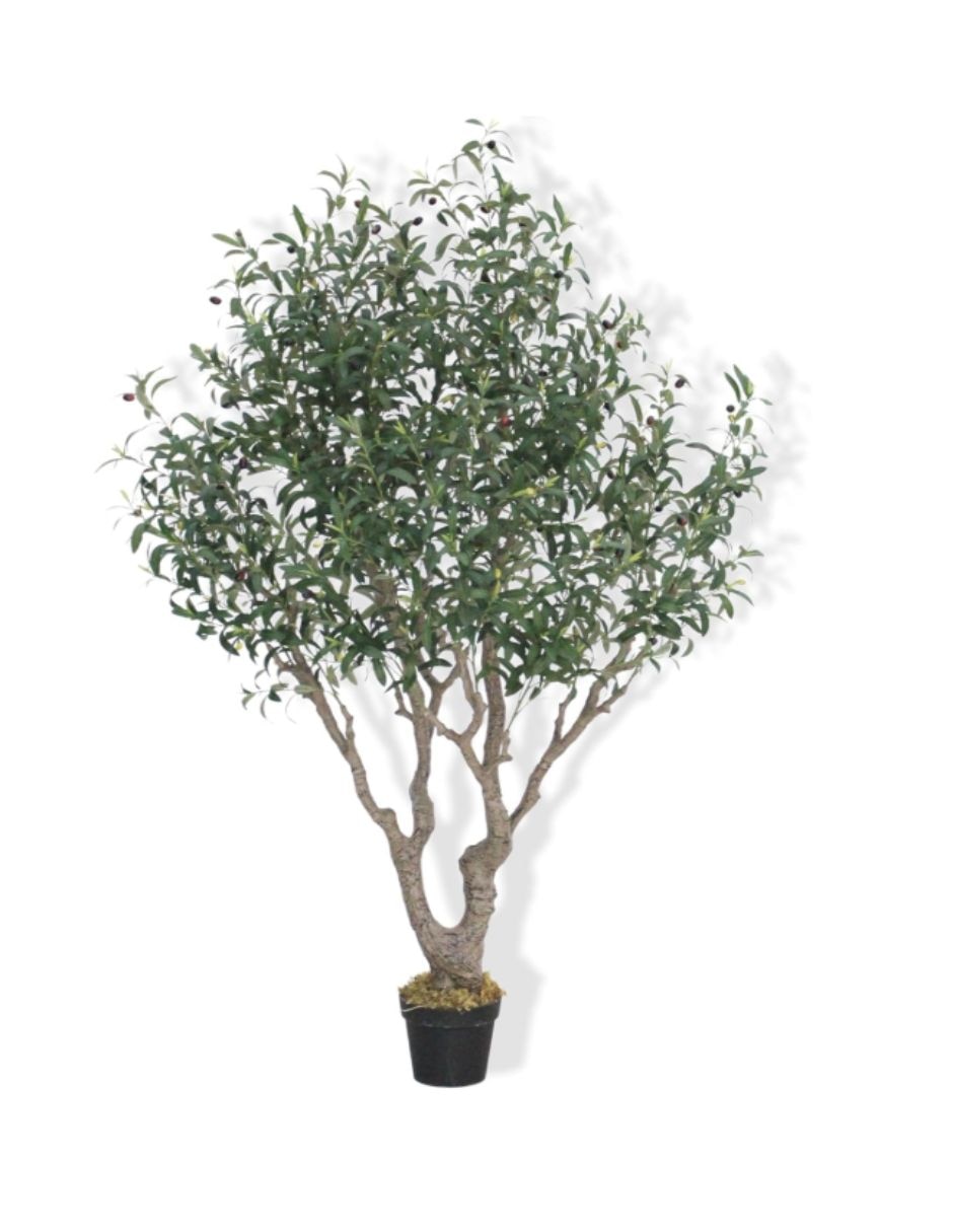 Olivo artificial Colección