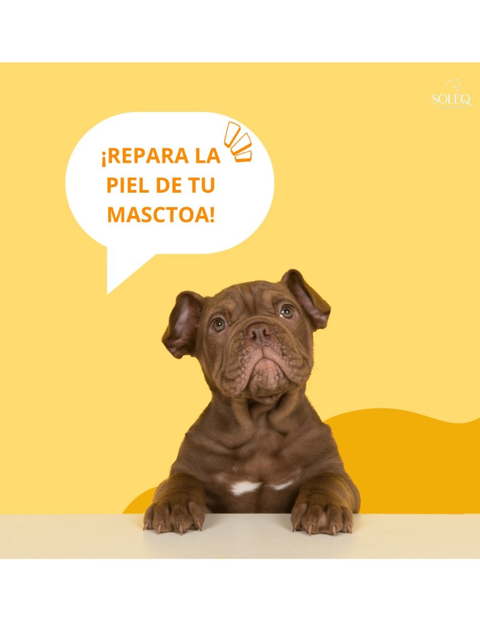 Bálsamo para mascota hidratar Soleq