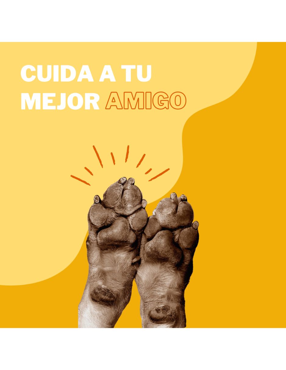 Bálsamo para mascota hidratar Soleq