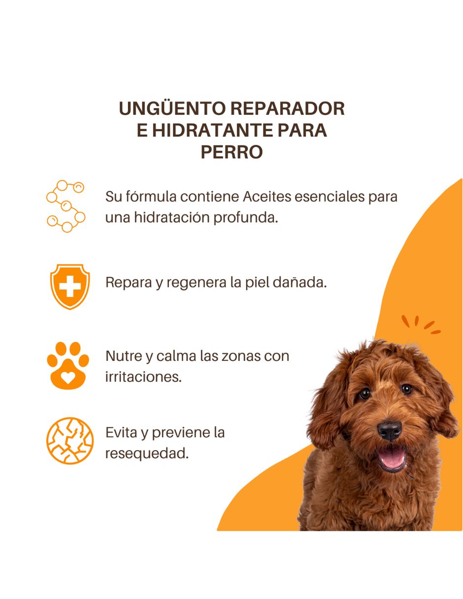 Bálsamo para mascota hidratar Soleq