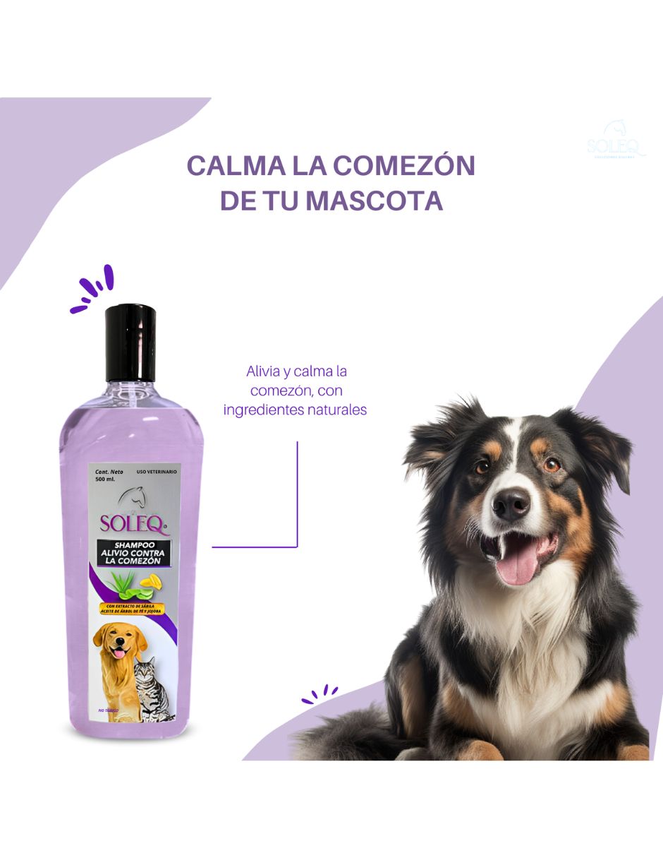 Shampoo Soleq para perro y gato