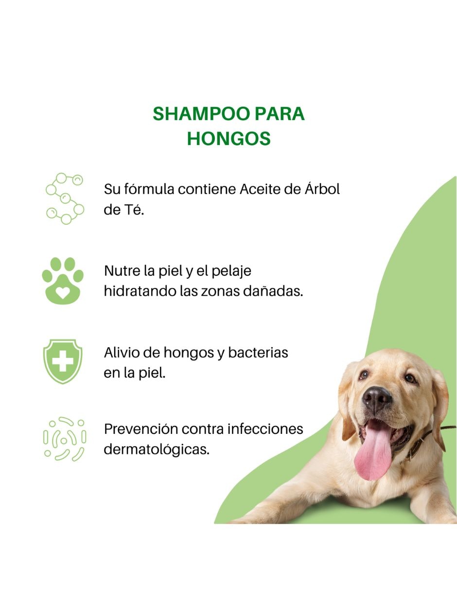 Shampoo Soleq para perro y gato